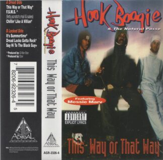 Hook Boogie - This Way Or That Way